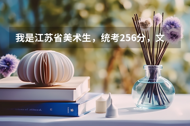我是江苏省美术生，统考256分，文化一般240左右，能上什么大学啊