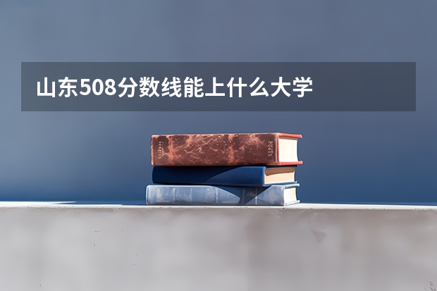 山东508分数线能上什么大学