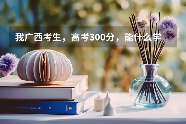 我广西考生，高考300分，能什么学校？