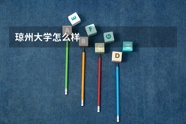 琼州大学怎么样