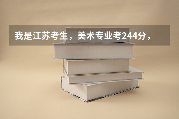 我是江苏考生，美术专业考244分，文化估计210分，能上本科吗？