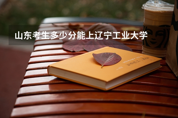 山东考生多少分能上辽宁工业大学