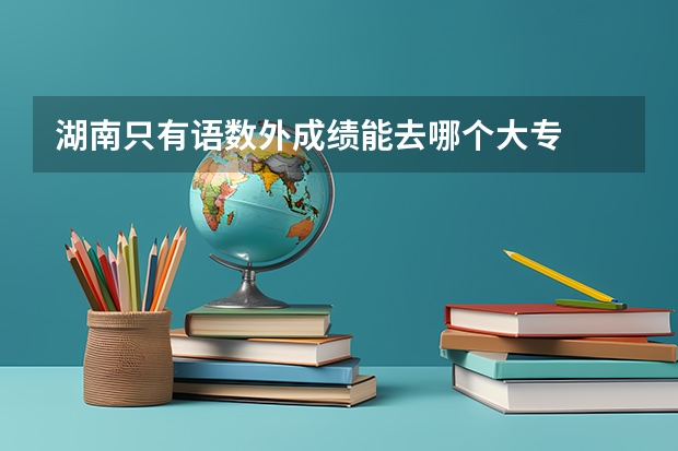 湖南只有语数外成绩能去哪个大专