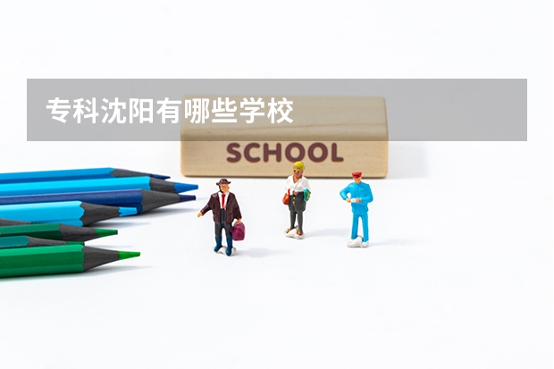 专科沈阳有哪些学校