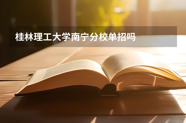 桂林理工大学南宁分校单招吗