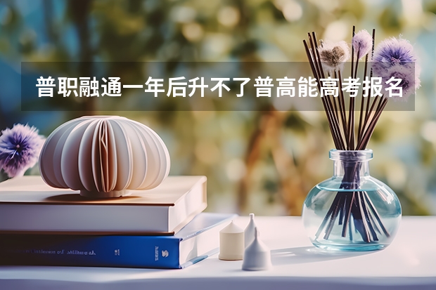 普职融通一年后升不了普高能高考报名吗