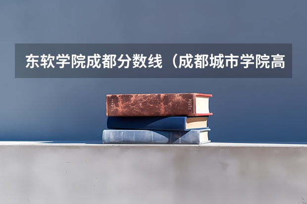 东软学院成都分数线（成都城市学院高考录取分数线）