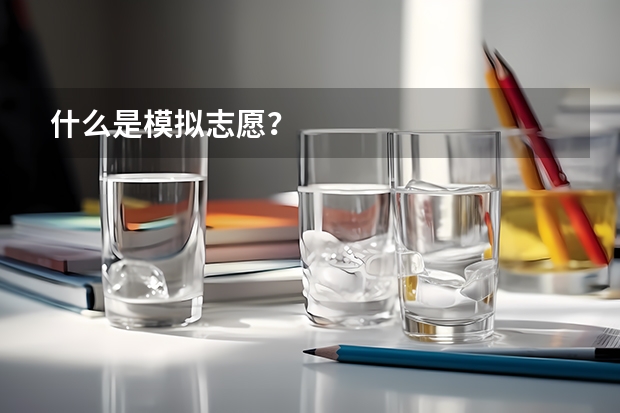 什么是模拟志愿?