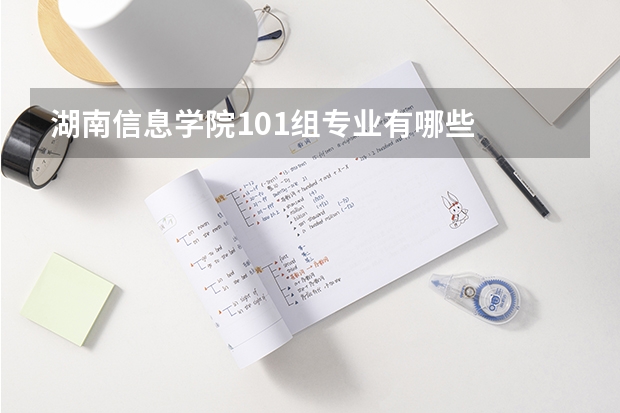 湖南信息学院101组专业有哪些