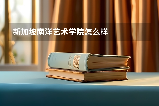 新加坡南洋艺术学院怎么样