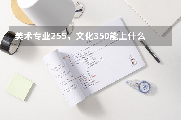 美术专业255，文化350能上什么大学？