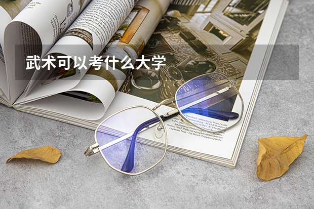 武术可以考什么大学