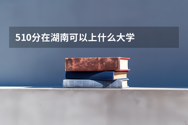 510分在湖南可以上什么大学
