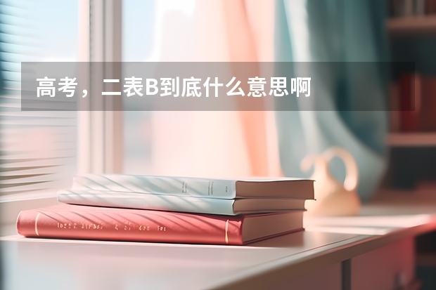 高考，二表B到底什么意思啊