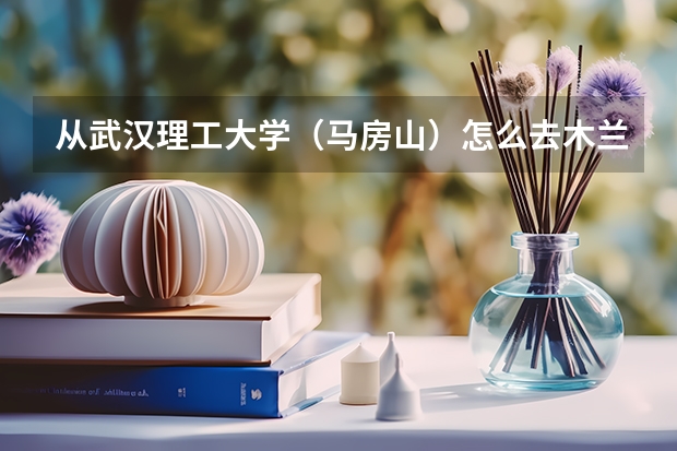 从武汉理工大学（马房山）怎么去木兰天池啊？木兰天池有什么好玩的？