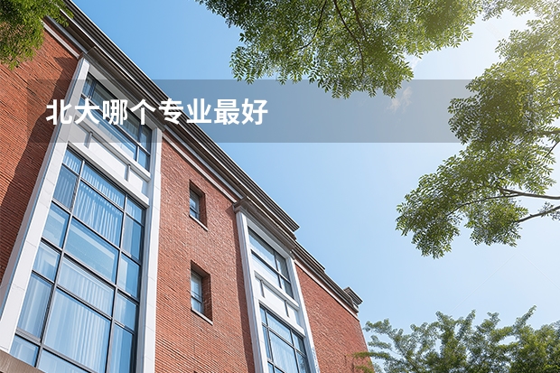 北大哪个专业最好
