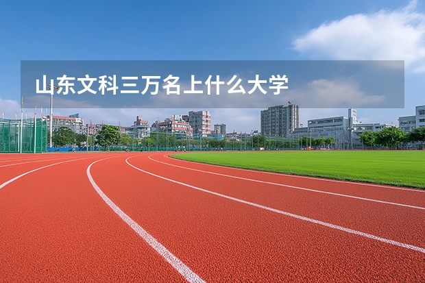 山东文科三万名上什么大学