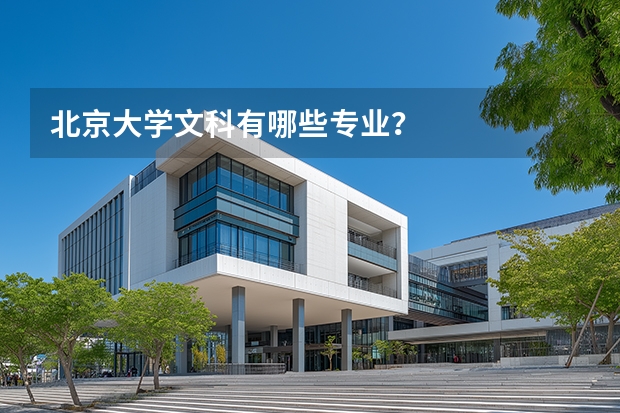 北京大学文科有哪些专业？