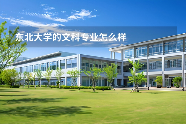 东北大学的文科专业怎么样