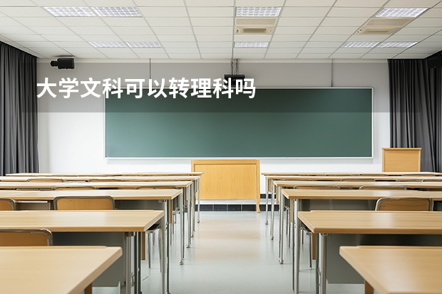大学文科可以转理科吗
