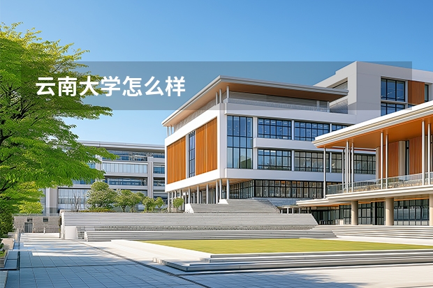 云南大学怎么样