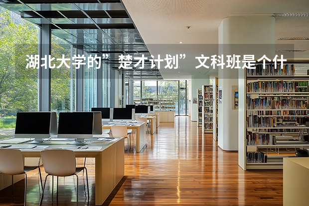 湖北大学的”楚才计划”文科班是个什么意思？