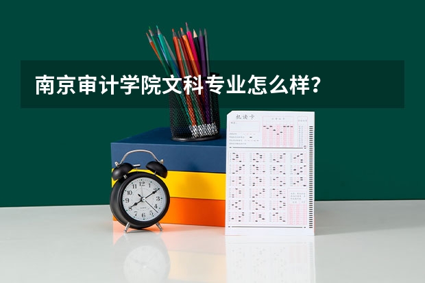 南京审计学院文科专业怎么样?