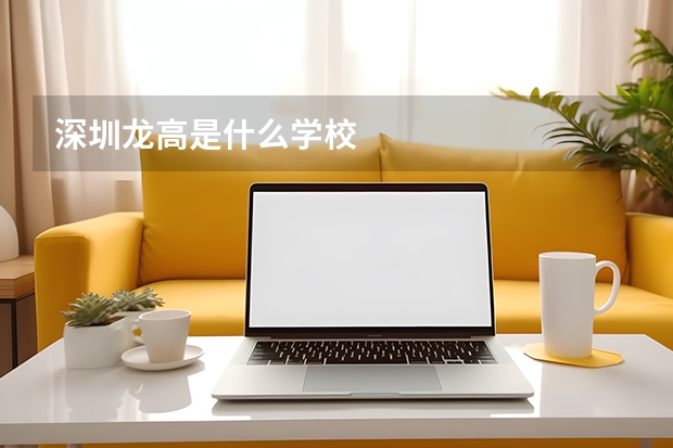 深圳龙高是什么学校