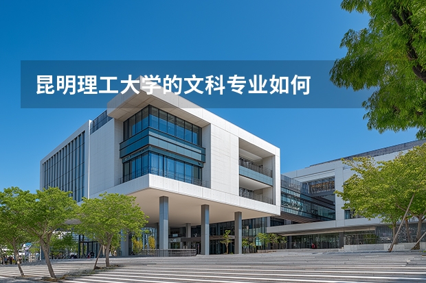 昆明理工大学的文科专业如何