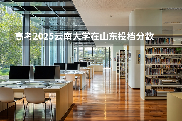 高考2025云南大学在山东投档分数线（2026参考）