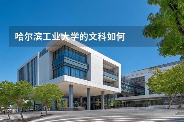 哈尔滨工业大学的文科如何