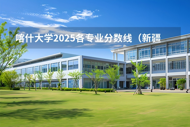 喀什大学2025各专业分数线（新疆客什大学录取分数线）
