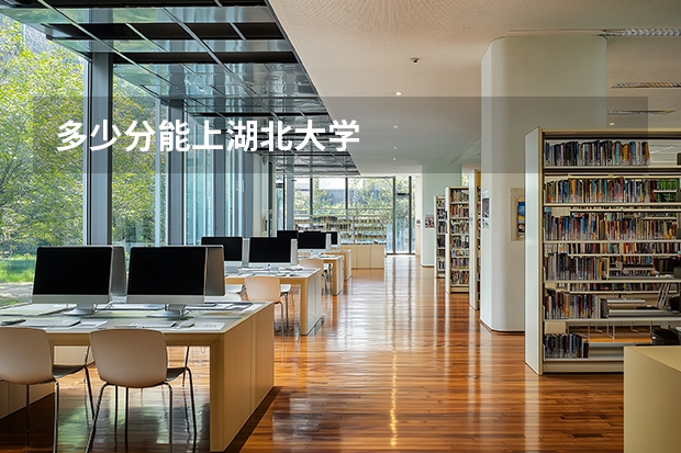 多少分能上湖北大学