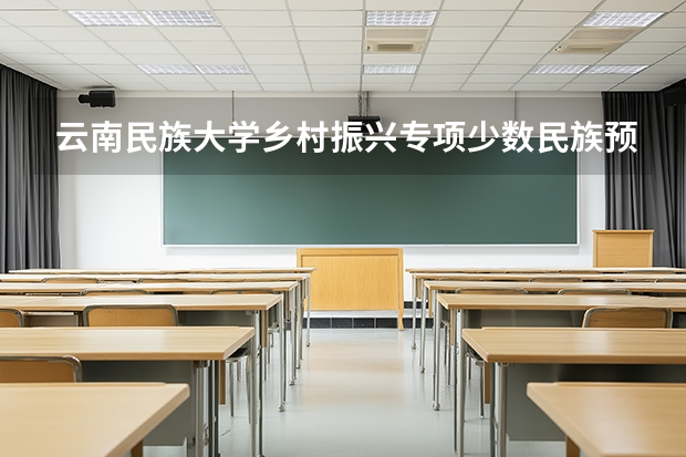 云南民族大学乡村振兴专项少数民族预科可选专业有哪些？