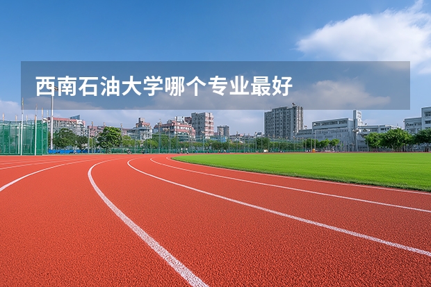西南石油大学哪个专业最好