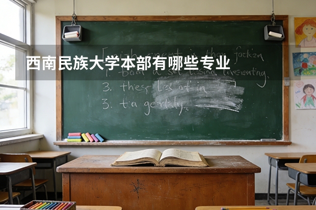 西南民族大学本部有哪些专业