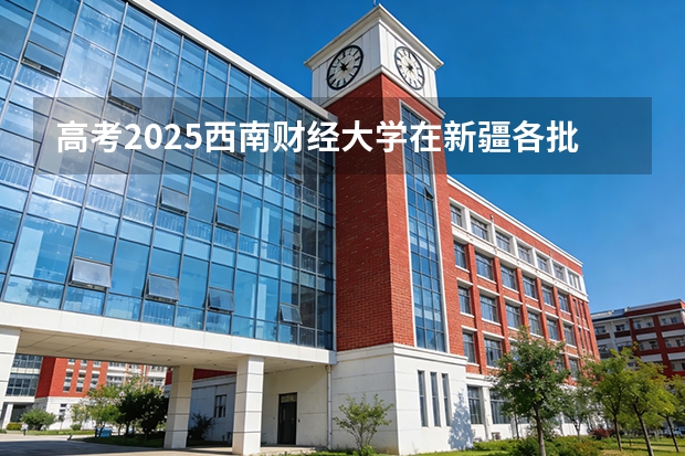 高考2025西南财经大学在新疆各批次选科要求（2026参考）