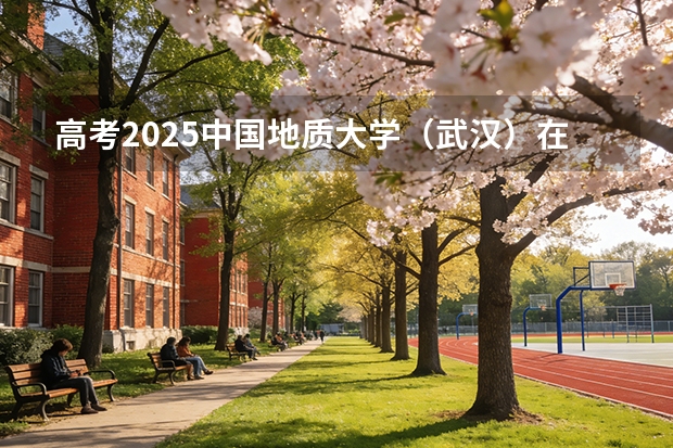 高考2025中国地质大学（武汉）在湖北投档分数线（2026参考）