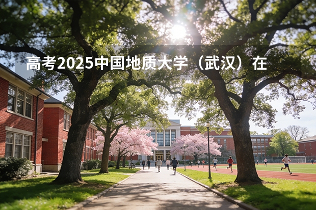 高考2025中国地质大学（武汉）在福建投档分数线（2026参考）