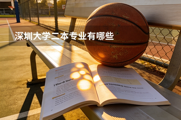 深圳大学二本专业有哪些