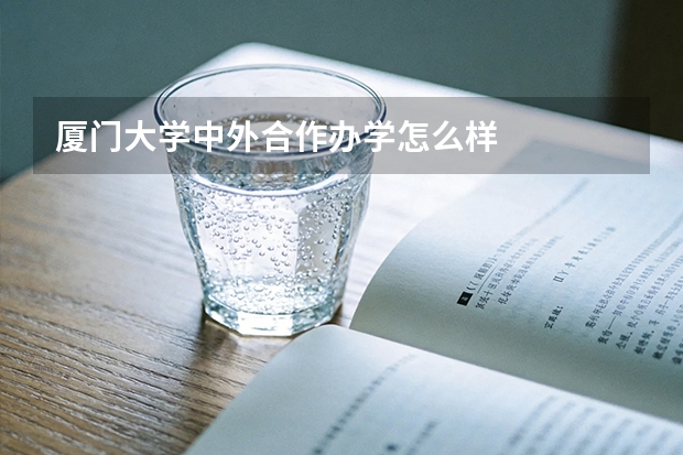 厦门大学中外合作办学怎么样