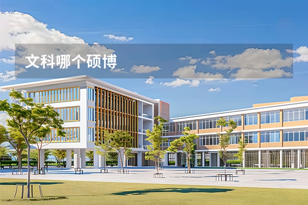 文科哪个硕博
