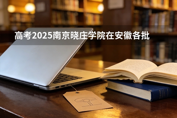 高考2025南京晓庄学院在安徽各批次选科要求（2026参考）