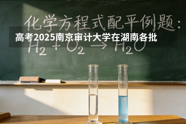 高考2025南京审计大学在湖南各批次选科要求（2026参考）