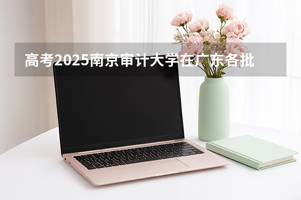 高考2025南京审计大学在广东各批次选科要求（2026参考）