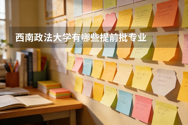 西南政法大学有哪些提前批专业