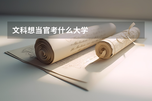 文科想当官考什么大学