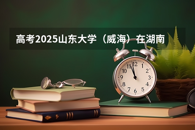 高考2025山东大学（威海）在湖南艺术类投档分数线（2026参考）