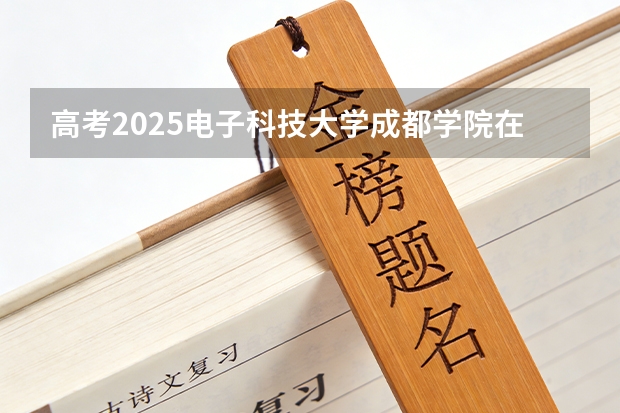 高考2025电子科技大学成都学院在山东艺术类投档分数线（2026参考）