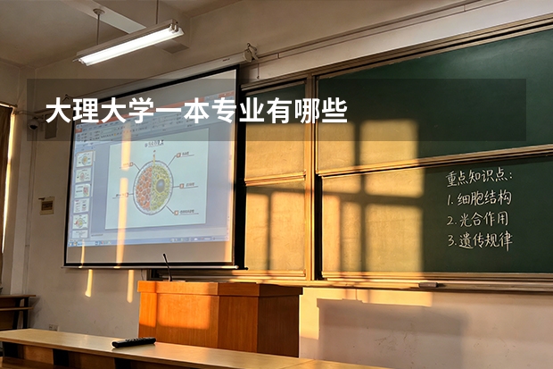 大理大学一本专业有哪些